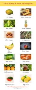 Fruits Name in hindi